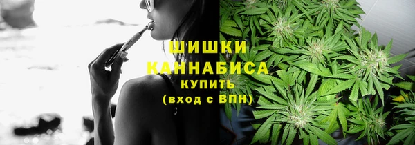 дживик Майский