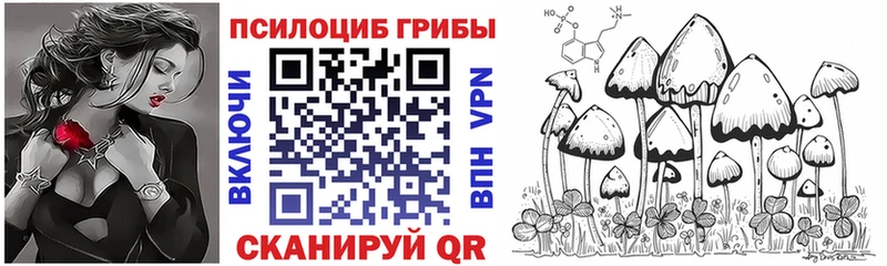 Псилоцибиновые грибы Psilocybine cubensis  мега ССЫЛКА  Луга 