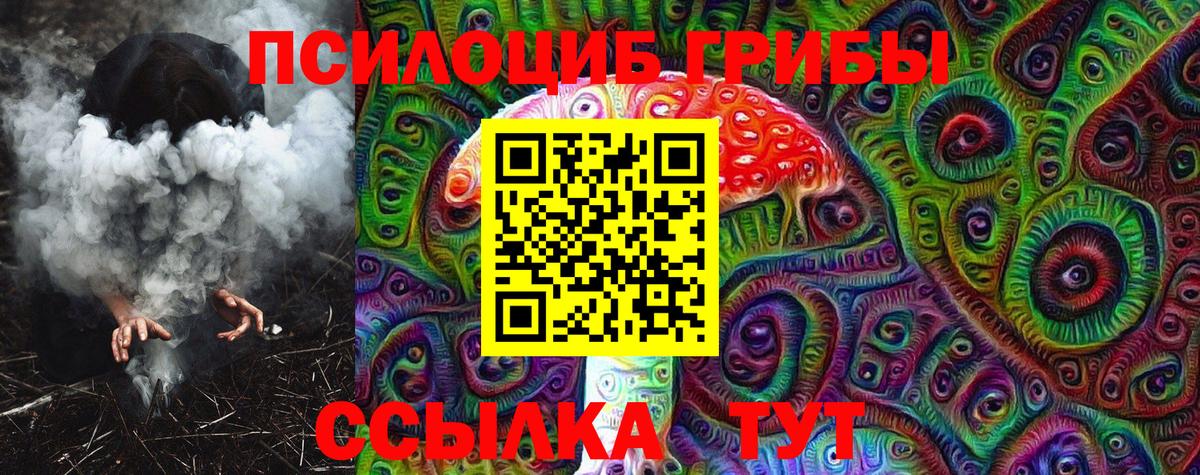 Псилоцибиновые грибы Psilocybine cubensis Луга