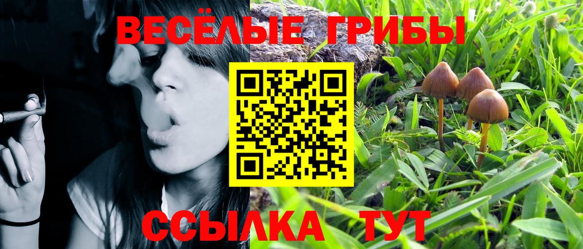 Псилоцибиновые грибы ЛСД  Вход с VPN  Псилоцибиновые грибы ЛСД  дарнет шоп  Луга 