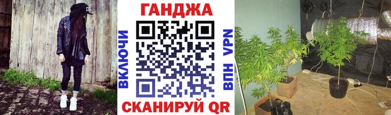 Бошки Шишки конопля  Луга 